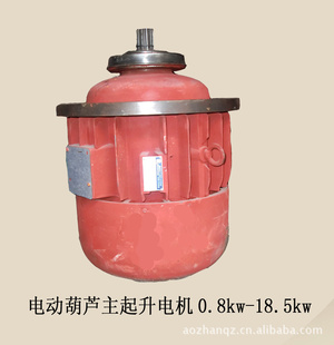 電動(dòng)葫蘆起升電動(dòng)機(jī)